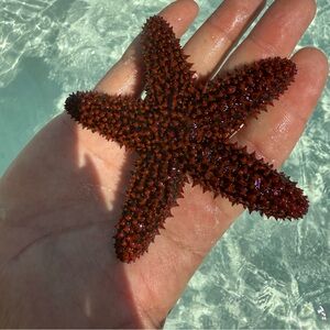 Sweaty Betty Navy Dress